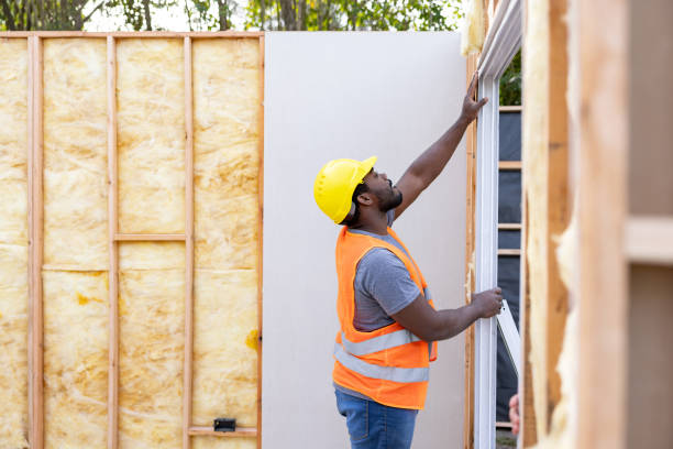 Best Home Insulation Services  in Lebanon Junction, KY