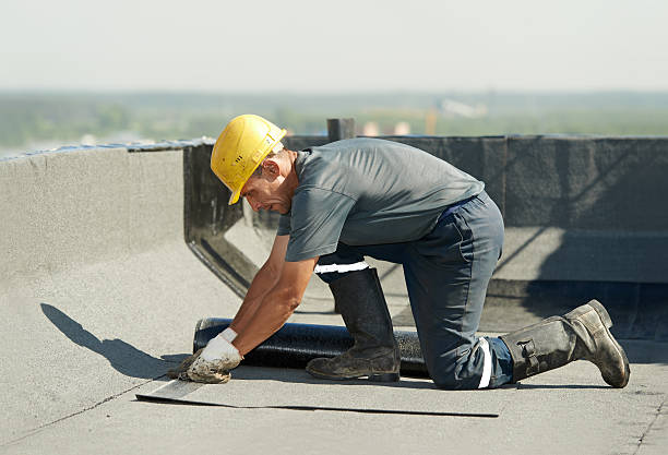 Best Local Insulation Services  in Lebanon Junction, KY